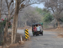 Краткий отчет. Раджастан-Агра-Орчча-Варанаси в феврале. Много фото