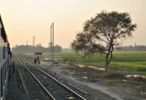 Краткий отчет. Раджастан-Агра-Орчча-Варанаси в феврале. Много фото