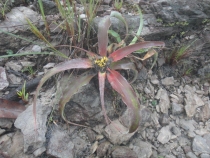 Наша незабываемая Венесуэла часть 3