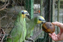 Наша незабываемая Венесуэла часть 3