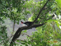 Уикенд В Рио+1 день Фоз Де Игуасу Уикенд В Рио+1 день Фоз Де Игуасу