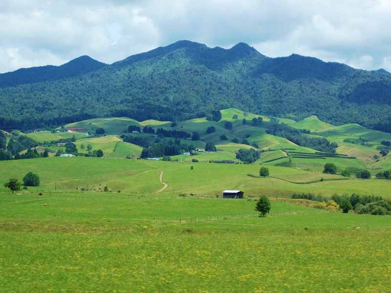 Новая Зеландия 1