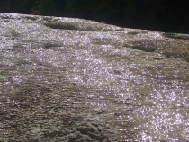 Новая Зеландия 1