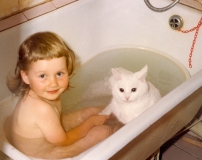 поговорим о кошках