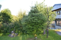 Языковой барьер. С квадратными глазами по Норвегии.