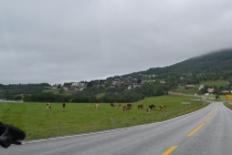 Языковой барьер. С квадратными глазами по Норвегии.