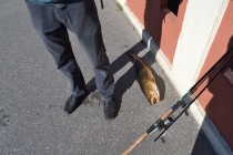 Языковой барьер. С квадратными глазами по Норвегии.