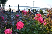 Языковой барьер. С квадратными глазами по Норвегии.