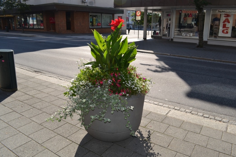 Языковой барьер. С квадратными глазами по Норвегии.