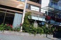 Языковой барьер. С квадратными глазами по Норвегии.