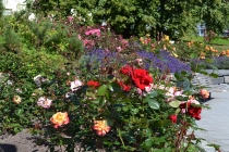 Языковой барьер. С квадратными глазами по Норвегии.