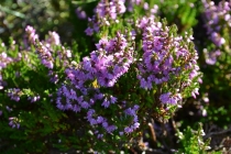 Языковой барьер. С квадратными глазами по Норвегии.