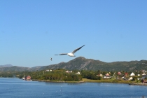 Языковой барьер. С квадратными глазами по Норвегии.