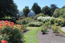 Ботанический парк в Christchurch