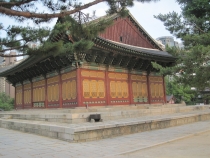 Gangnam style (Сеул 2012 Фотоотчет)