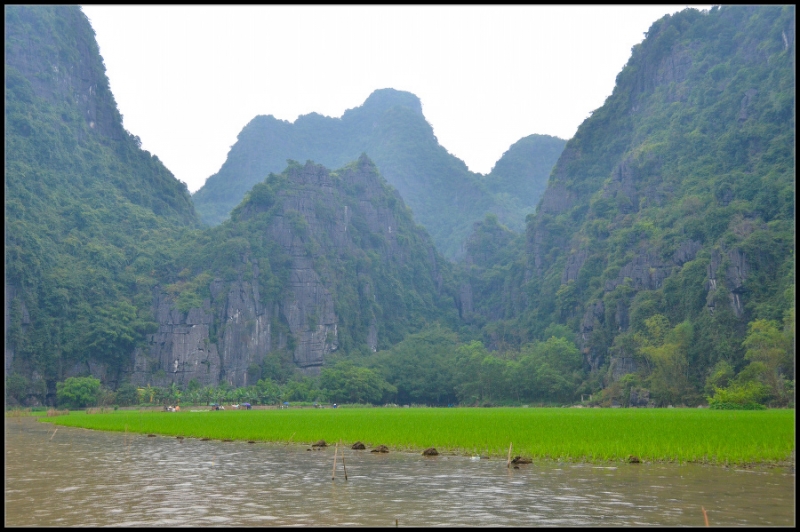 Это Азия, детка!