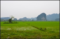 Это Азия, детка!