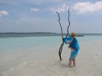 филиппины: эль нидо,бохол,данао,панглао,себу,боракай гонконг