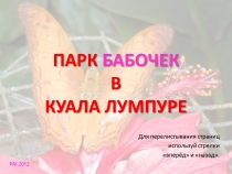 Парк Бабочек! Куала-Лумпур