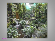 Парк Бабочек! Куала-Лумпур