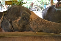 Пхукет-Камбоджа-Бангкок и не только. Март 2013