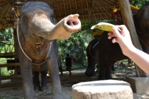 Пхукет-Камбоджа-Бангкок и не только. Март 2013