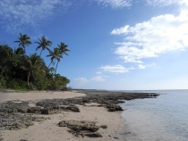 Каникулы под водой: Тонга и Фиджи