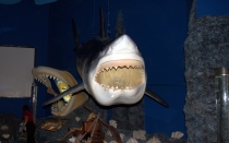 Мечты сбываются или небольшое путешествие: Паттайя-Ко-Чанг-Ко-Мак–Бангкок. Путевые заметки