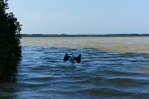 Ураганом по Мексике за 11 дней: 5000км, 17 городов, КИТЫ, пирамиды, El Chepe