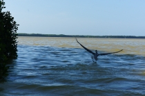 Ураганом по Мексике за 11 дней: 5000км, 17 городов, КИТЫ, пирамиды, El Chepe