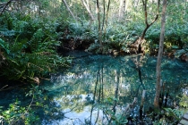 Ураганом по Мексике за 11 дней: 5000км, 17 городов, КИТЫ, пирамиды, El Chepe