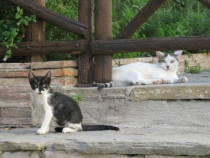 Отдых на море в Италии на побережье Тосканы