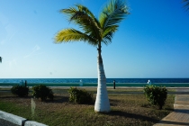 Ураганом по Мексике за 11 дней: 5000км, 17 городов, КИТЫ, пирамиды, El Chepe