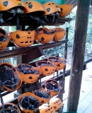 Жадность,океан,еда,массаж,джунгли.