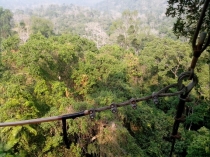 Жадность,океан,еда,массаж,джунгли.