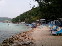 Жадность,океан,еда,массаж,джунгли.