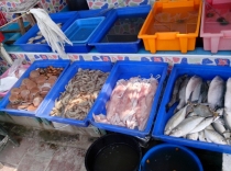 Жадность,океан,еда,массаж,джунгли.