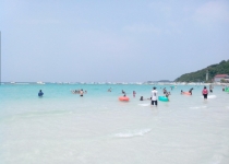 Жадность,океан,еда,массаж,джунгли.