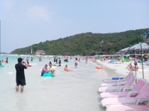 Жадность,океан,еда,массаж,джунгли.