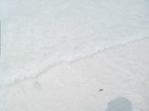 Жадность,океан,еда,массаж,джунгли.