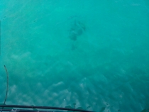 Жадность,океан,еда,массаж,джунгли.