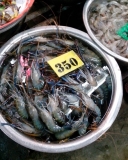 Жадность,океан,еда,массаж,джунгли.