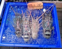 Жадность,океан,еда,массаж,джунгли.