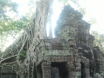 Ангкор, восьмое чудо света