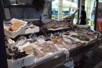 Из Рима на один день - куда?