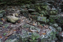 Ураганом по Мексике за 11 дней: 5000км, 17 городов, КИТЫ, пирамиды, El Chepe