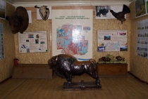 museo2