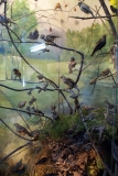 museo10