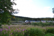 Языковой барьер. С квадратными глазами по Норвегии.