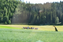 Языковой барьер. С квадратными глазами по Норвегии.